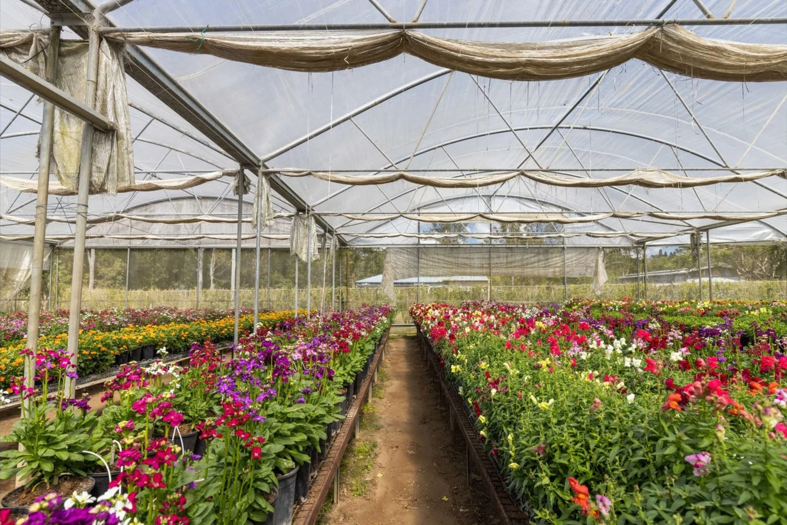 Additional image 47 of 319 Highlands Road, Eudlo QLD 4554