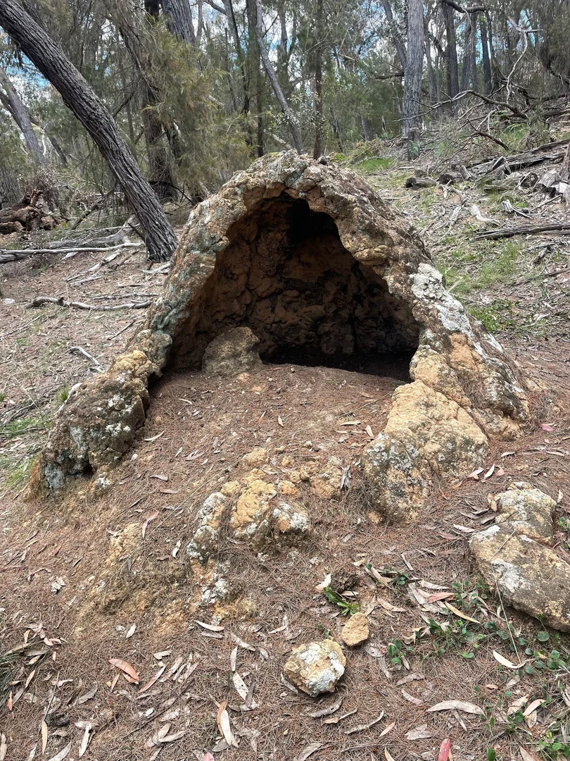 Additional image 24 of 274 Willow Glen Road, Lower Boro NSW 2580