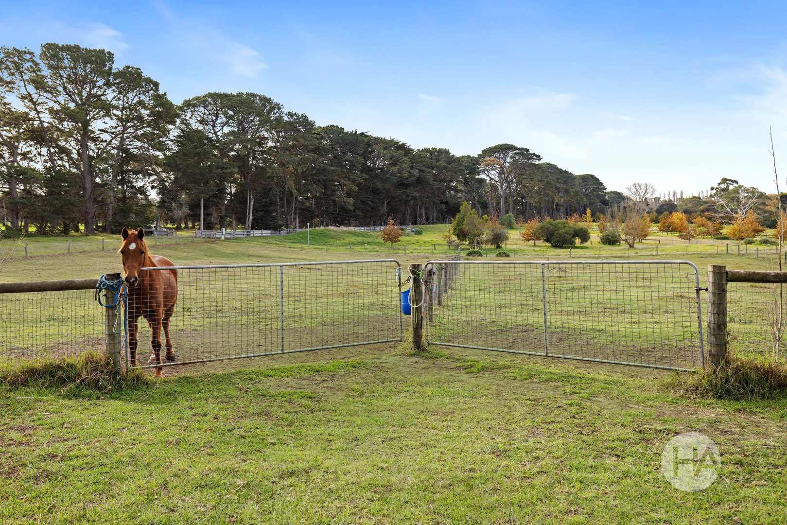 Additional image 7 of 253 Old Cape Schanck Road, Boneo VIC 3939