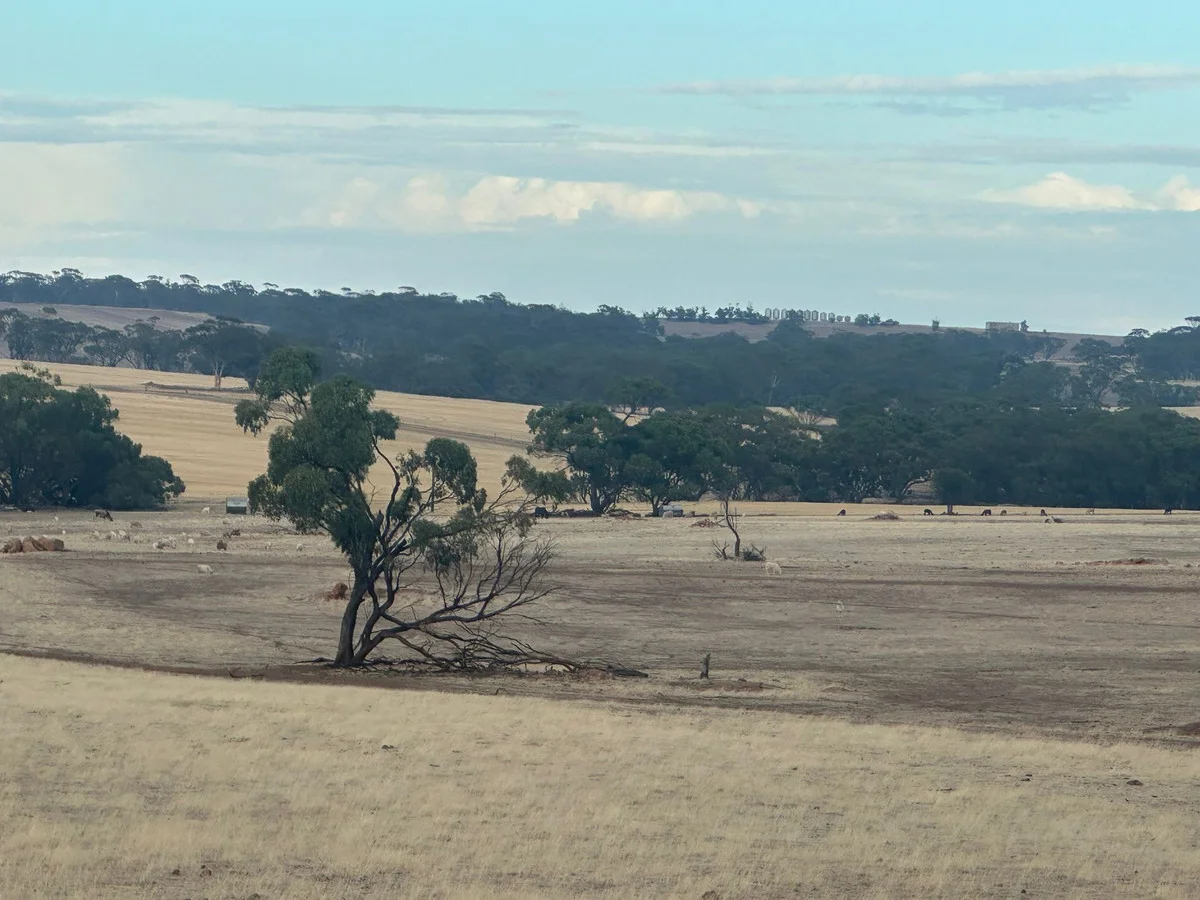 Additional image 2 of 2130 Long Forrest Road, Mumberkine WA 6401