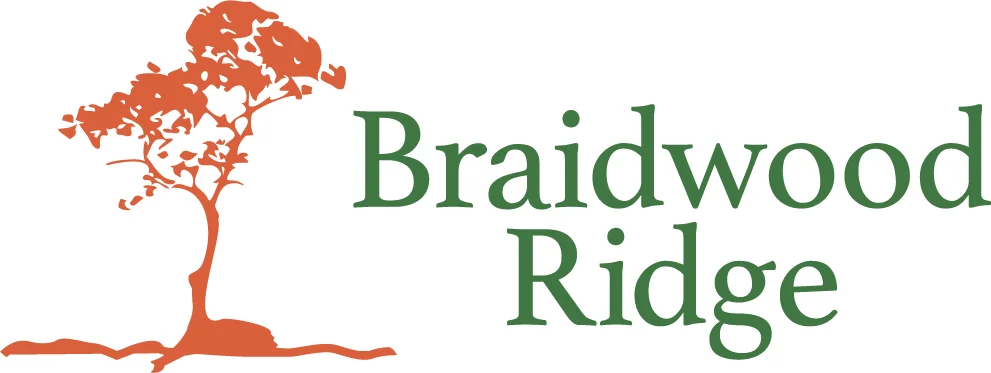 Additional image 12 of 3 Coffey Street, Braidwood NSW 2622