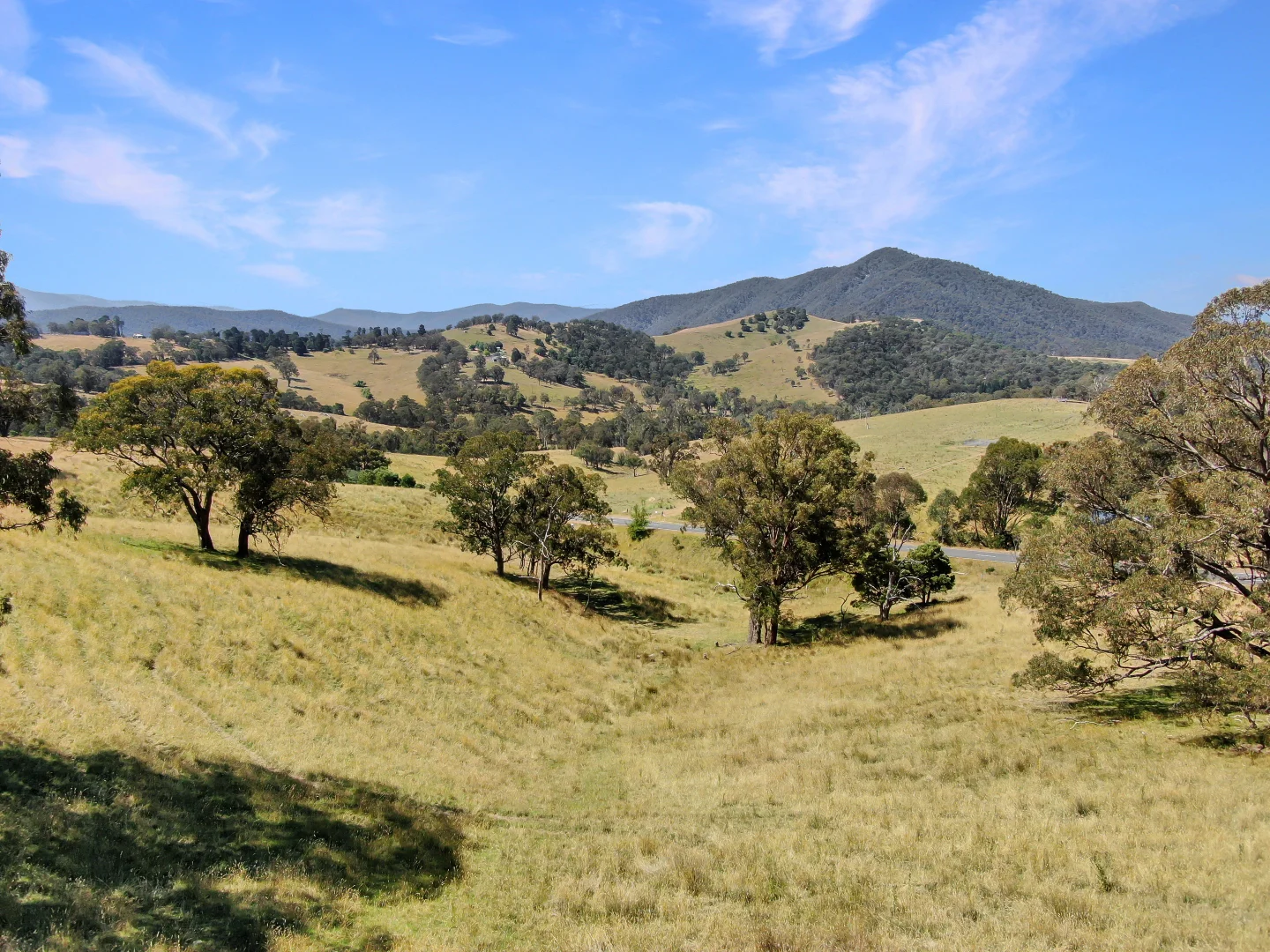 Additional image 2 of Dargo Road, Dargo VIC 3862