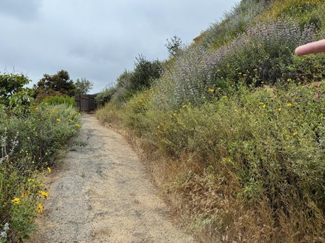 Additional image 39 of 1184 Colina Vis, Ventura, CA, 93003