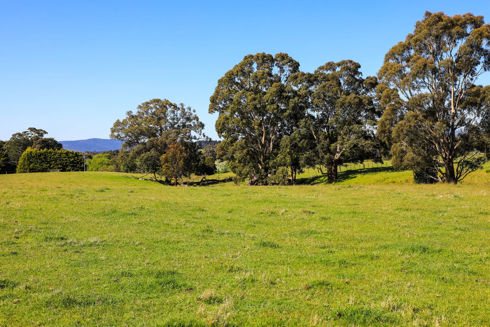 Additional image 13 of 154 Straws Lane, Hesket VIC 3442