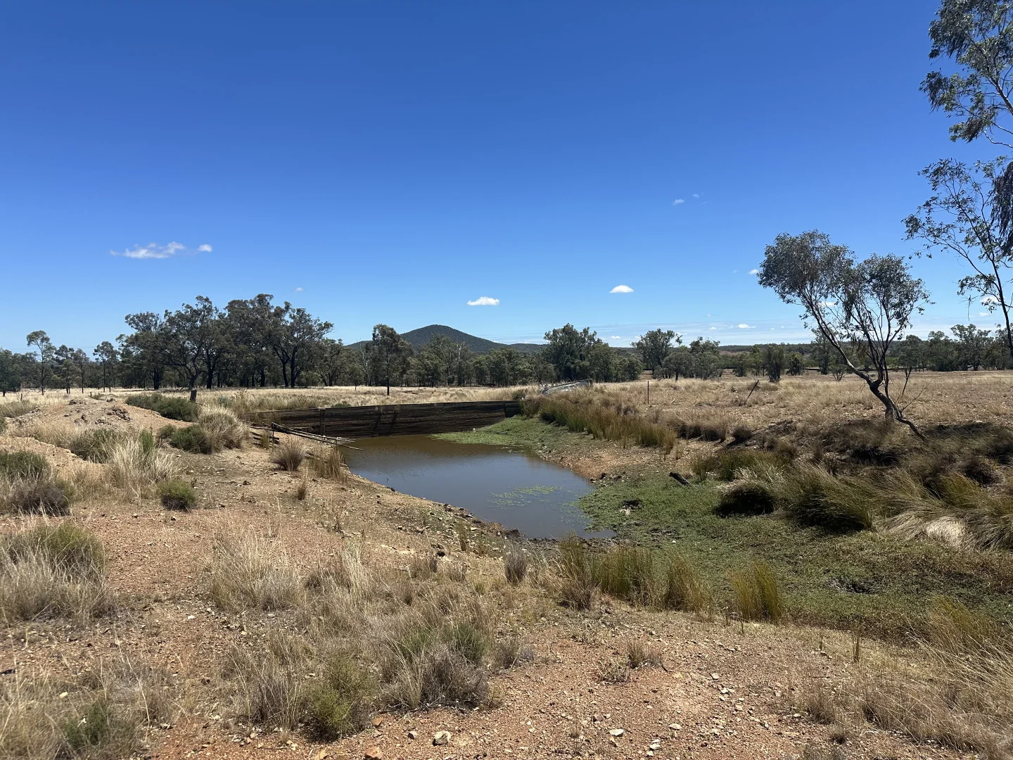 Additional image 2 of 247 Uandi Road, Inglewood QLD 4387