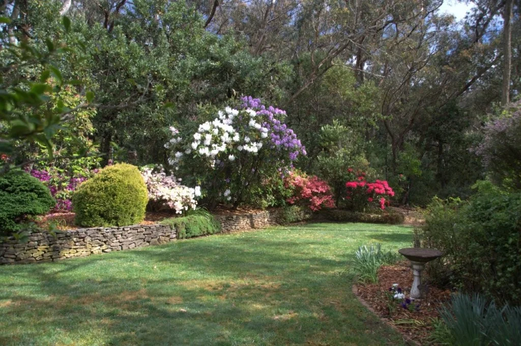Additional image 15 of 15-17 Gladstone Street, Wentworth Falls NSW 2782