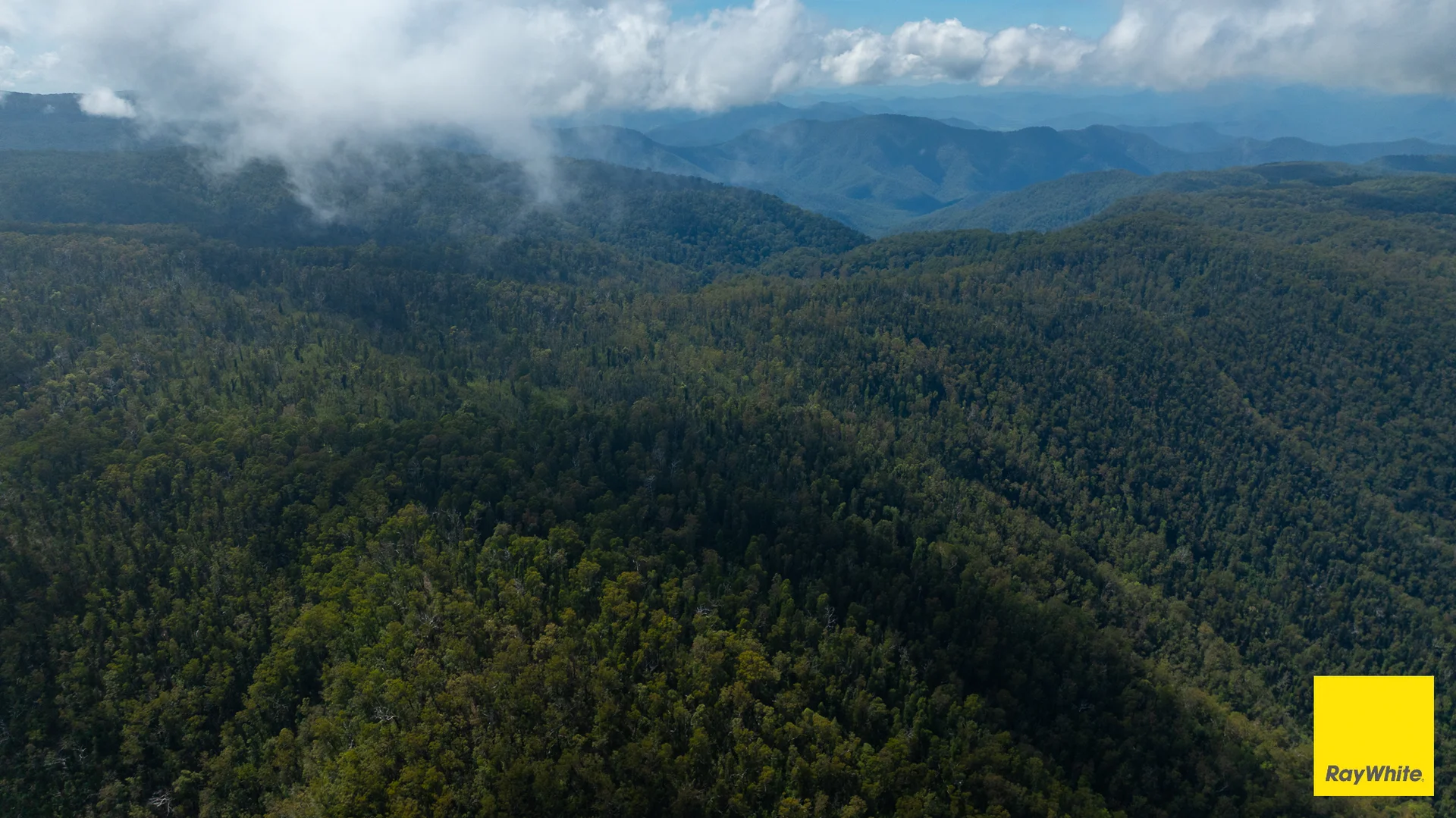 Additional image 9 of Lower Creek NSW 2440