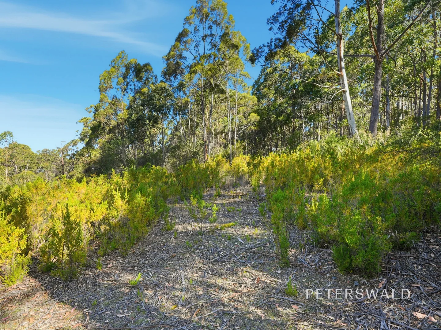 Additional image 2 of 3 Morphetts Road, Neika TAS 7054