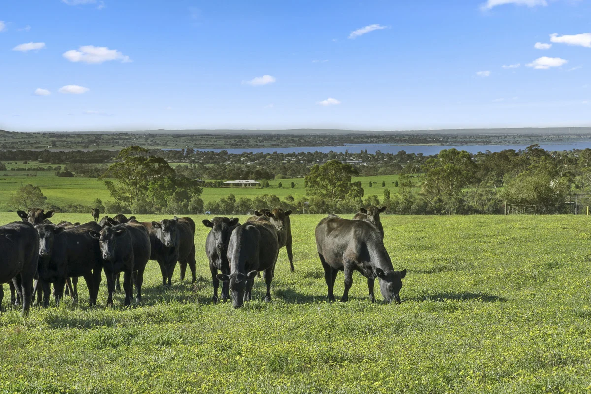 Additional image 10 of Christies Road, Elliminyt VIC 3250