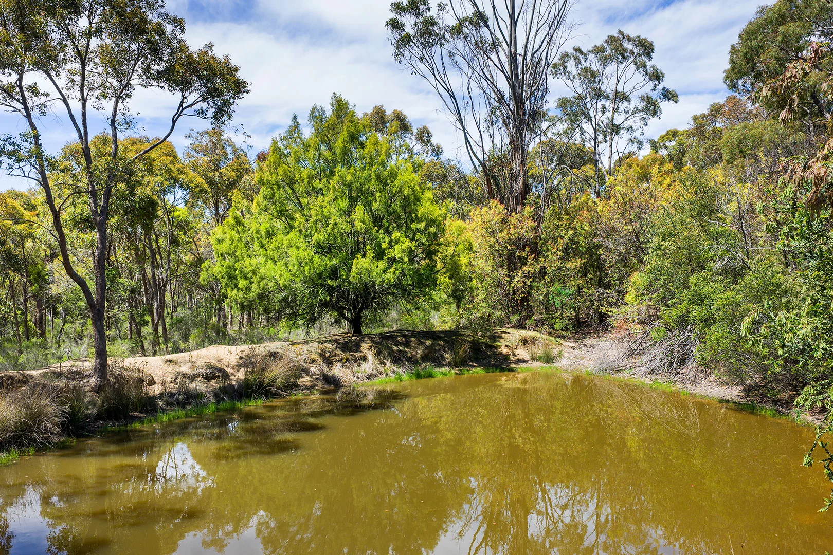 Additional image 17 of 129 Cemetery Road, Elphinstone VIC 3448
