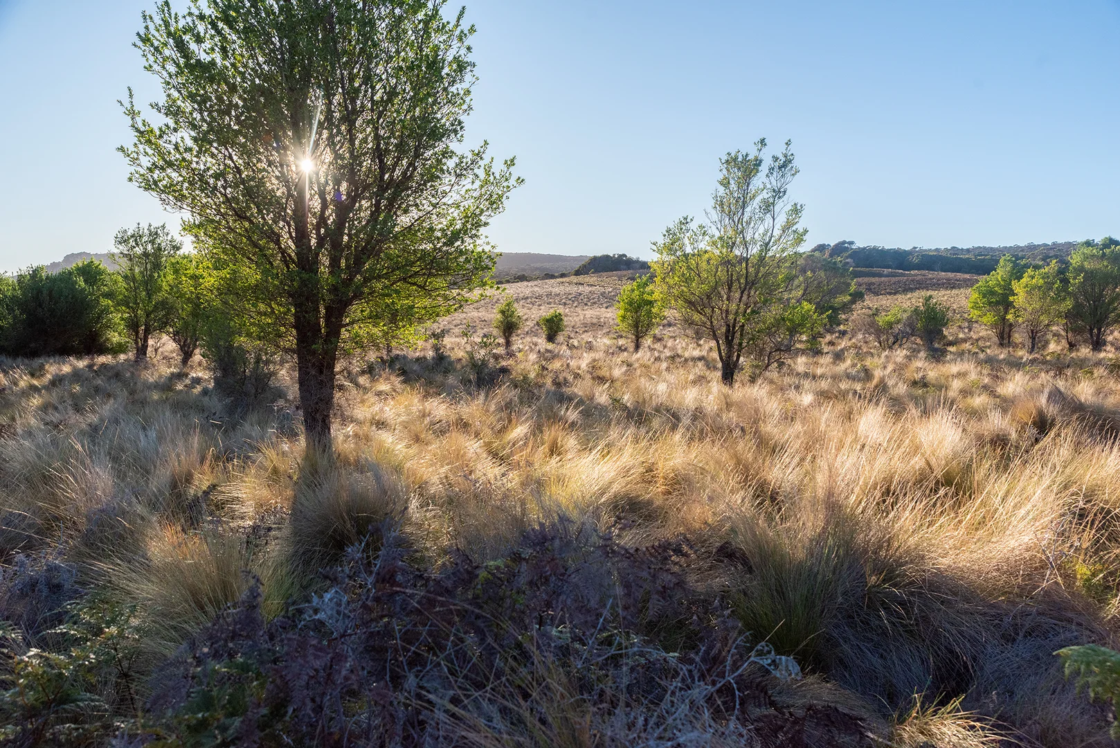 Additional image 22 of Lot 3 Boat Harbour Road, Killiecrankie TAS 7255