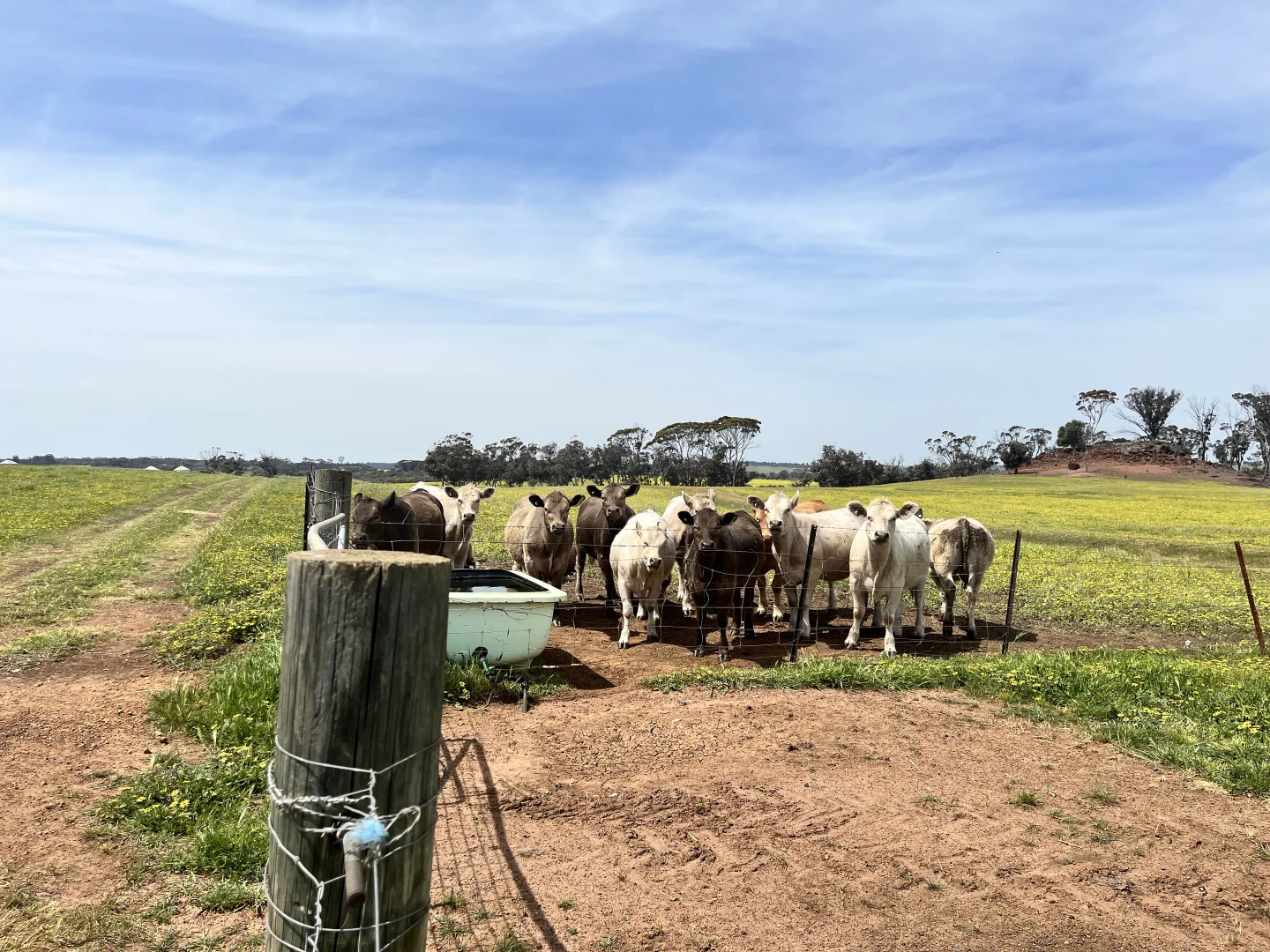 Additional image 24 of 547 Bunmulling Road, Popanyinning WA 6309
