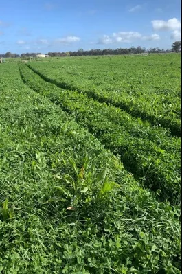 Additional image 19 of 1448 Labuan Road, Marungi VIC 3634