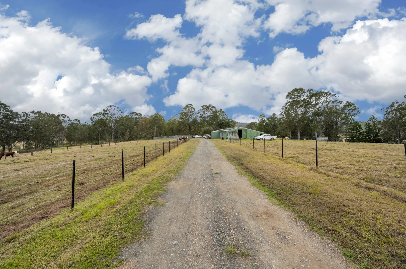 Additional image 20 of 2317 Coaldale Road, Coaldale NSW 2460