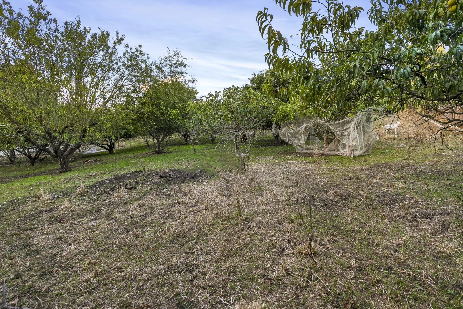 Additional image 20 of 26 Drummond Street, Greenvale VIC 3059