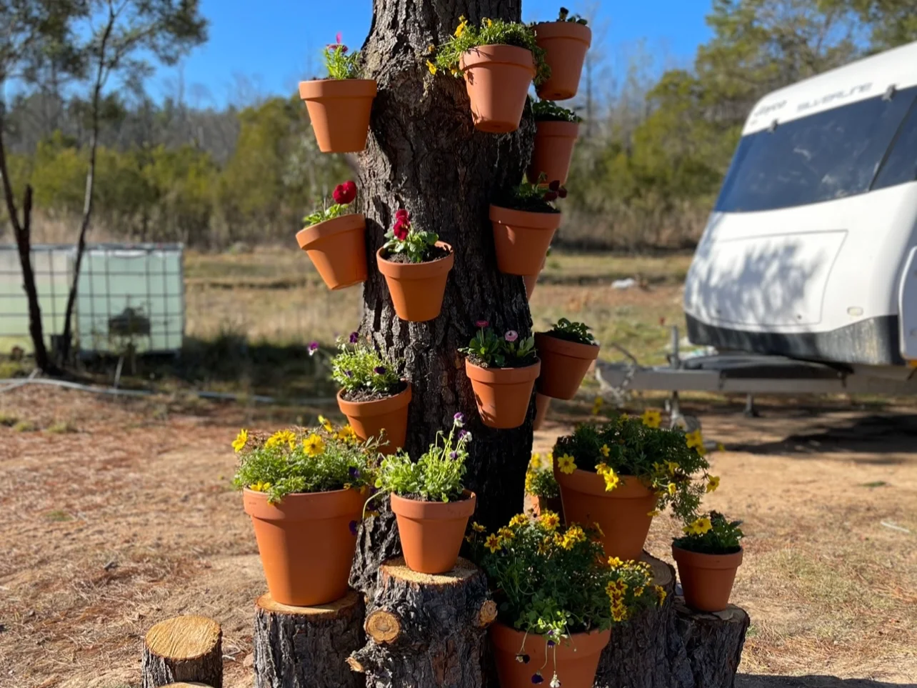 Additional image 29 of Tomboye NSW 2622