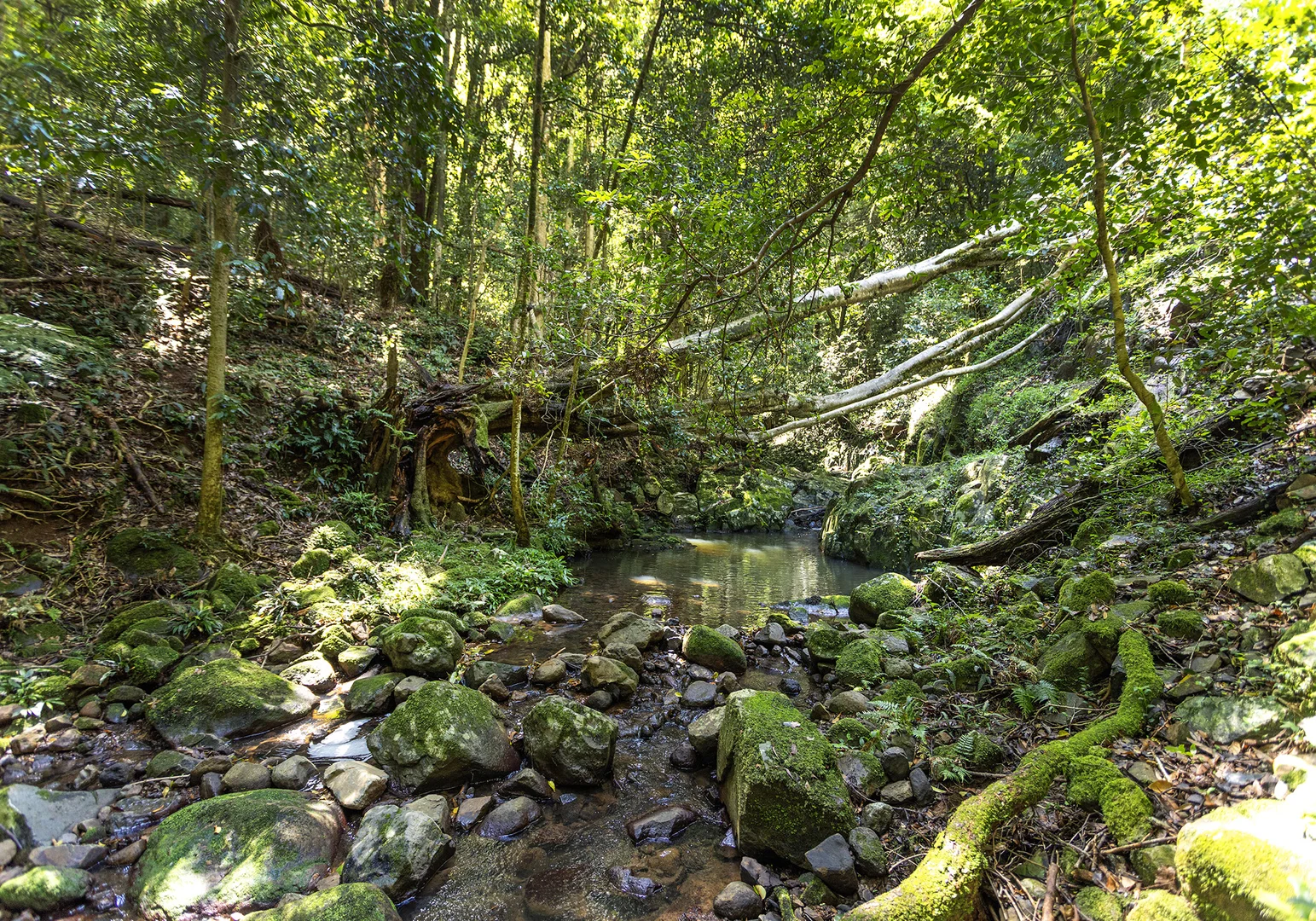 Additional image 8 of 332 Foxground Road, Foxground NSW 2534