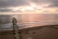 Additional image 70 of 414 Main St Unit 300, Huntington Beach, CA, 92648