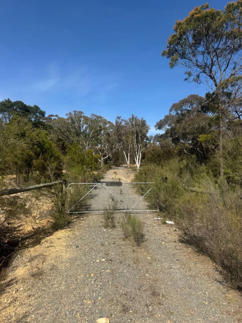 Additional image 15 of 274 Willow Glen Road, Lower Boro NSW 2580