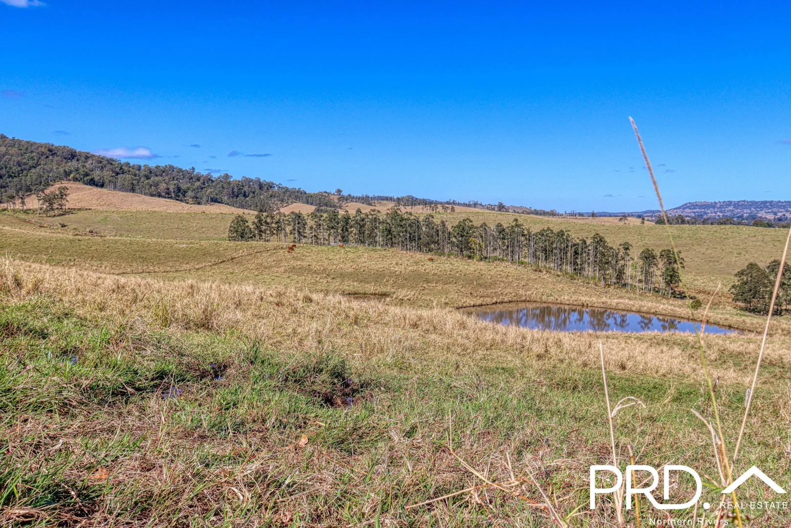 Additional image 8 of Lot 30, 46 Lynches Creek Road, Wiangaree NSW 2474