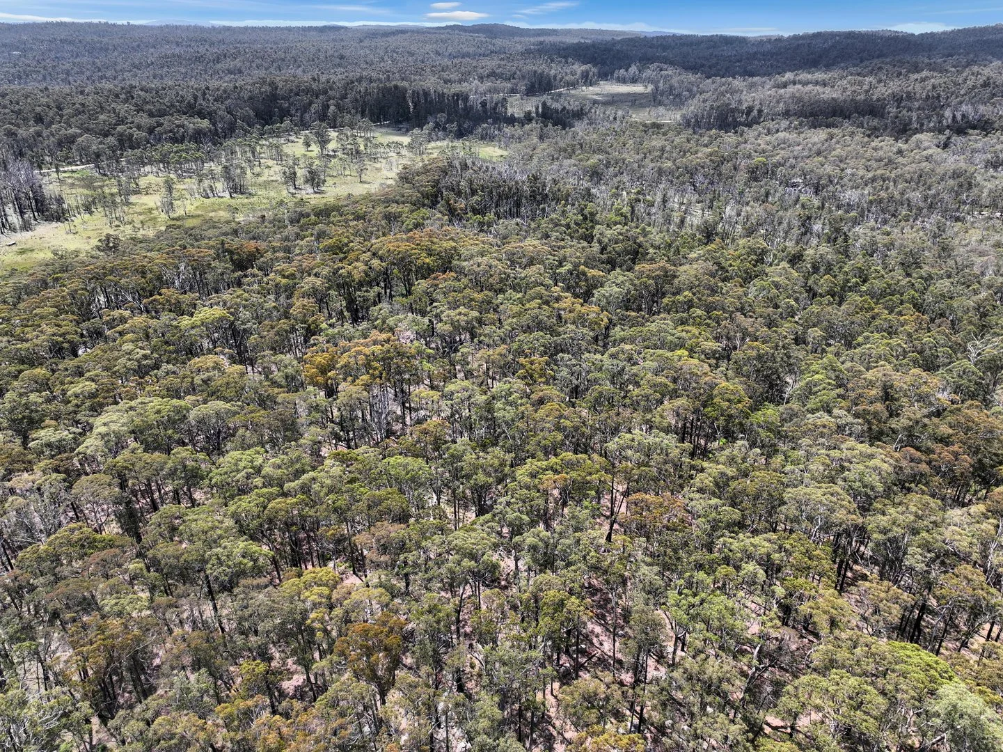 Additional image 33 of Lot 51 Tantawangalo Mountain Road, Cathcart NSW 2632