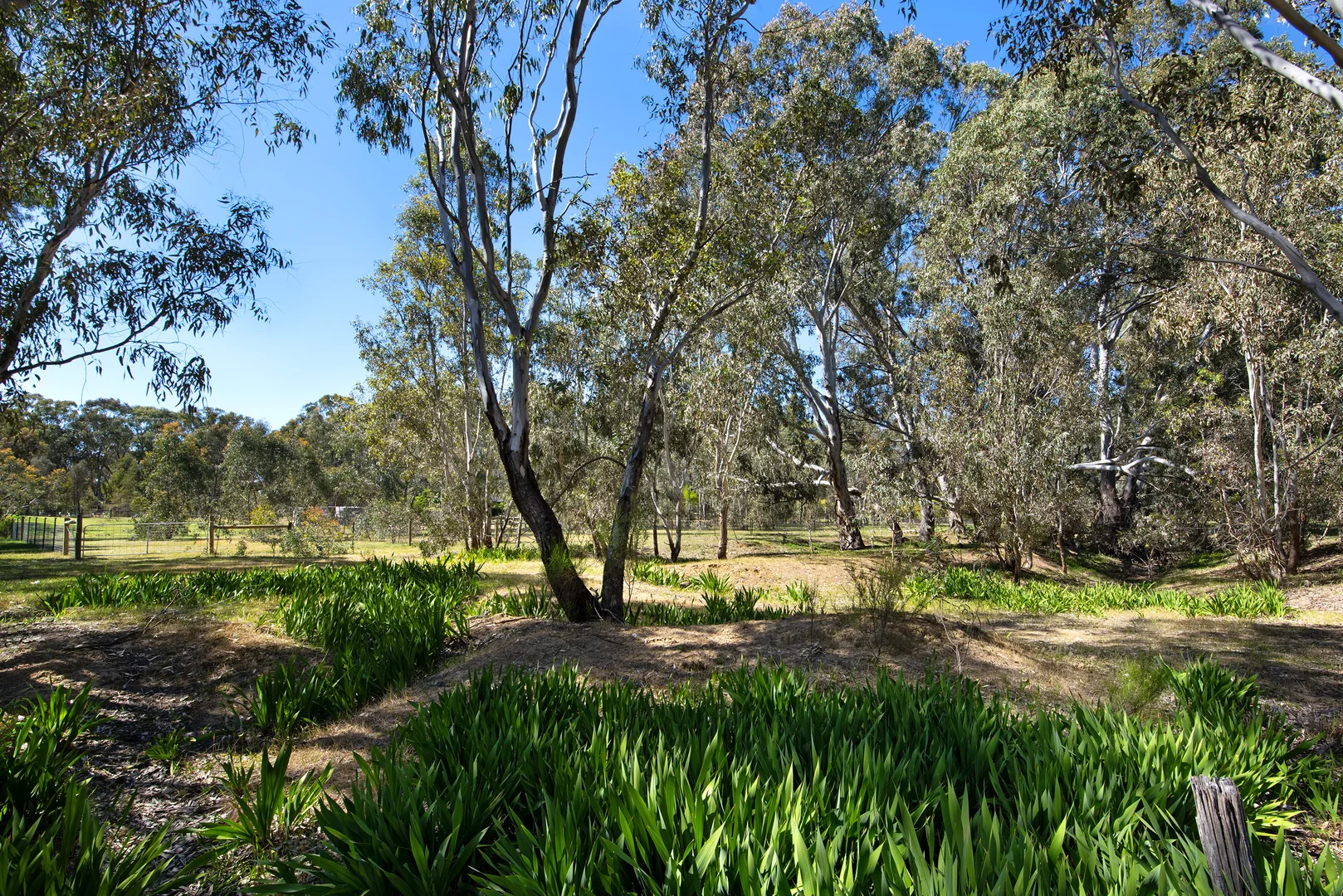 Additional image 19 of 85 Odgers Road, Barkers Creek VIC 3451