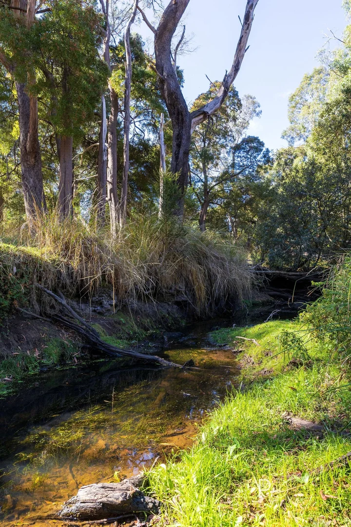 Additional image 23 of 20 Manouka Drive, Port Sorell TAS 7307