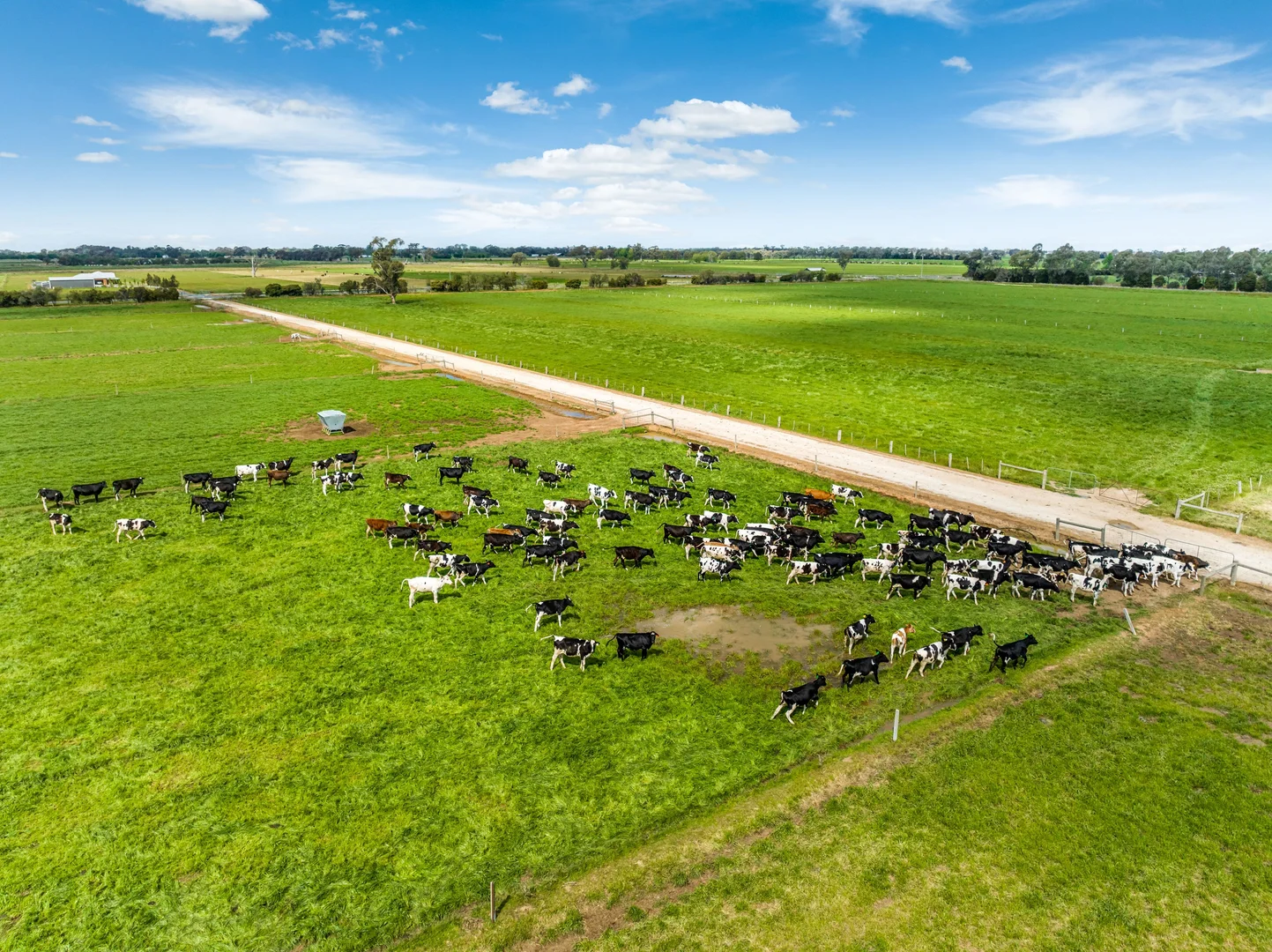Additional image 11 of 1070 & 1072 White Road, Girgarre VIC 3624