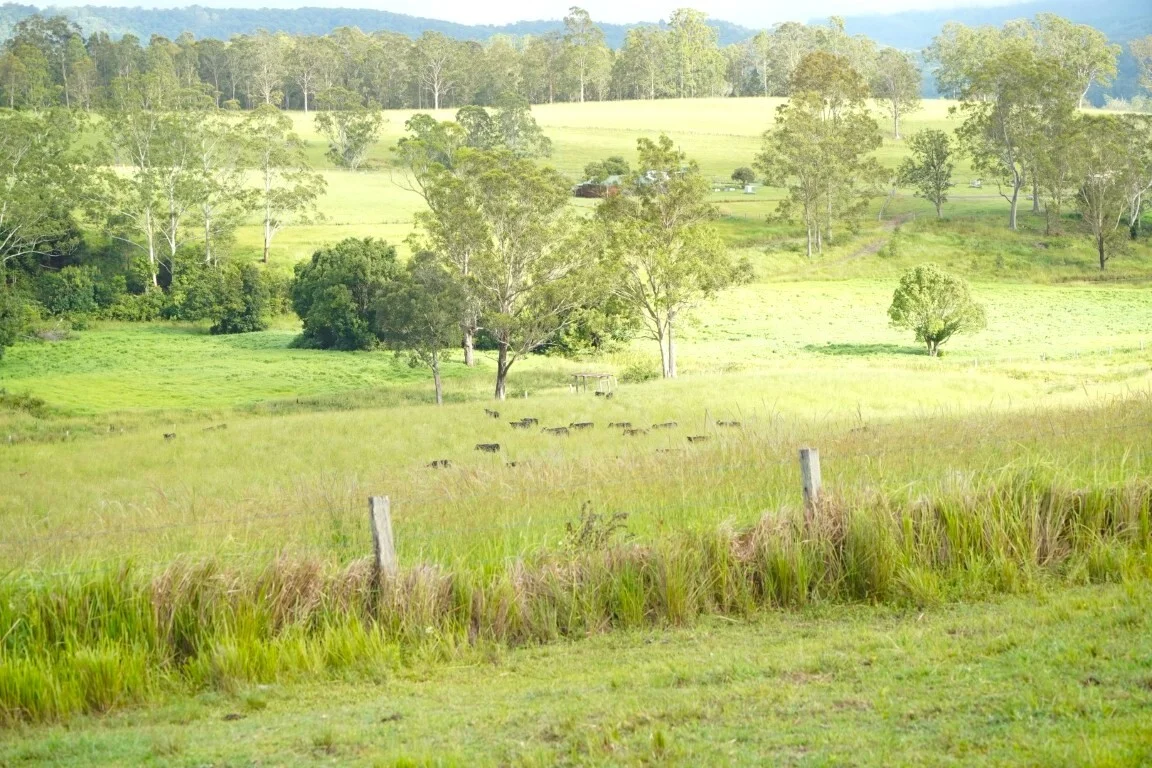 Additional image 38 of 1023 Iron Pot Creek Rd, Kyogle NSW 2474