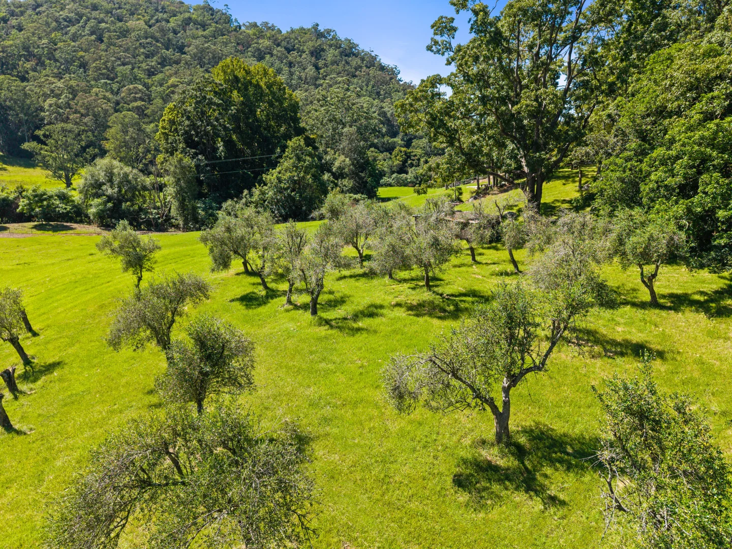 Additional image 17 of 665 Brush Creek Road, Cedar Brush Creek NSW 2259