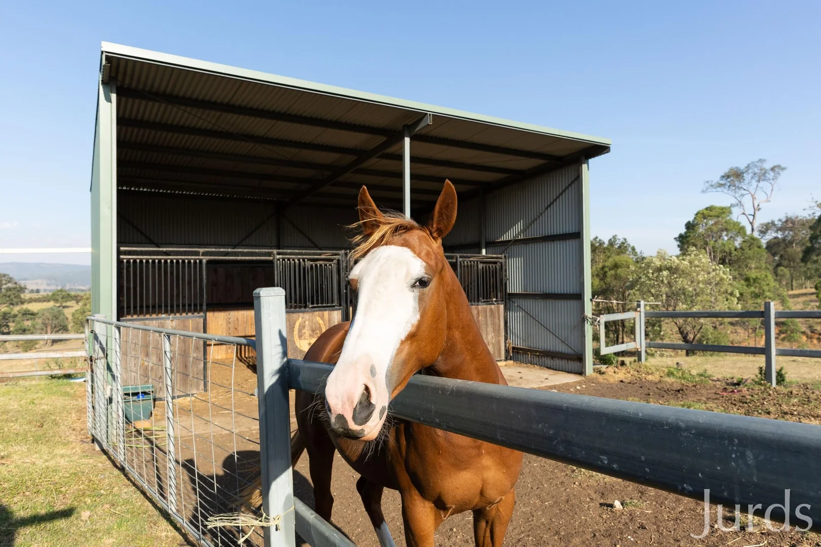 Additional image 11 of 232C Fernhill Road, Dalwood NSW 2335