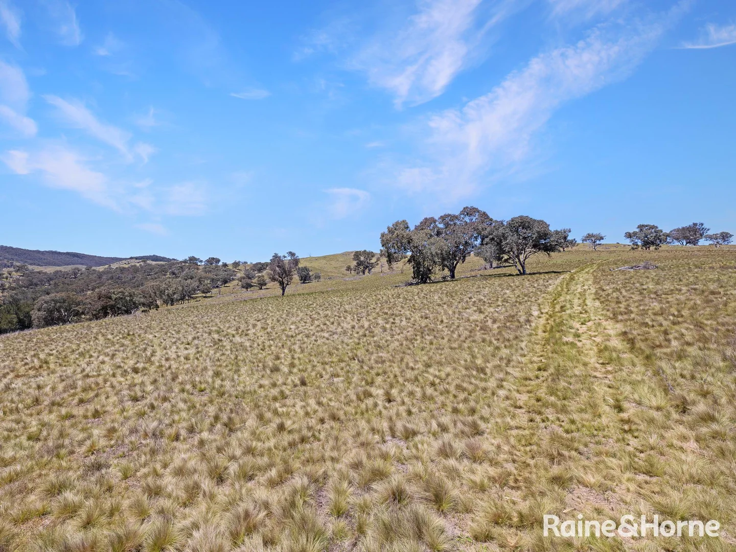 Additional image 6 of 1988 Freemantle Road, Milkers Flat NSW 2795