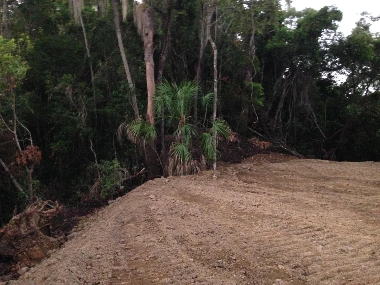 Additional image 16 of 1243 Yakapari-Seaforth Road, Mount Jukes QLD 4740