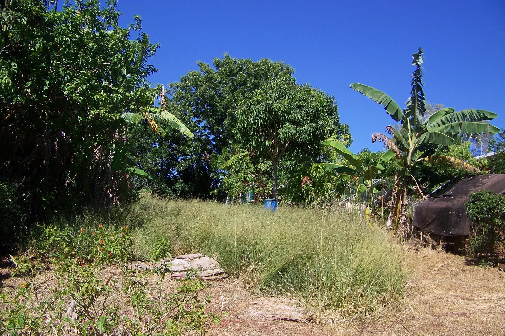 Additional image 3 of 29 Pine Avenue, Lamb Island QLD 4184