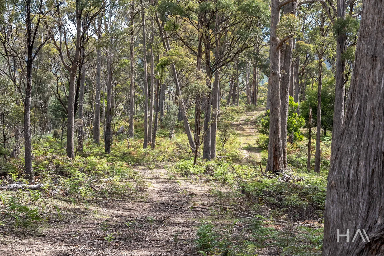 Additional image 12 of English Town Road, Deddington TAS 7212
