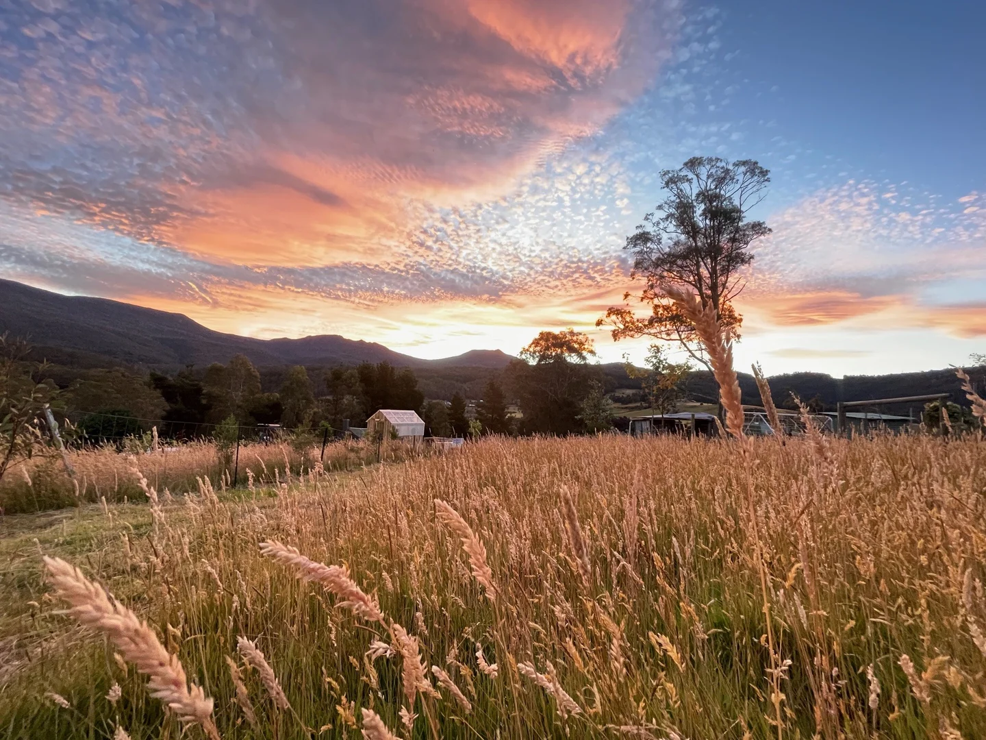 Additional image 2 of 5 Hellessey Road, Collinsvale TAS 7012