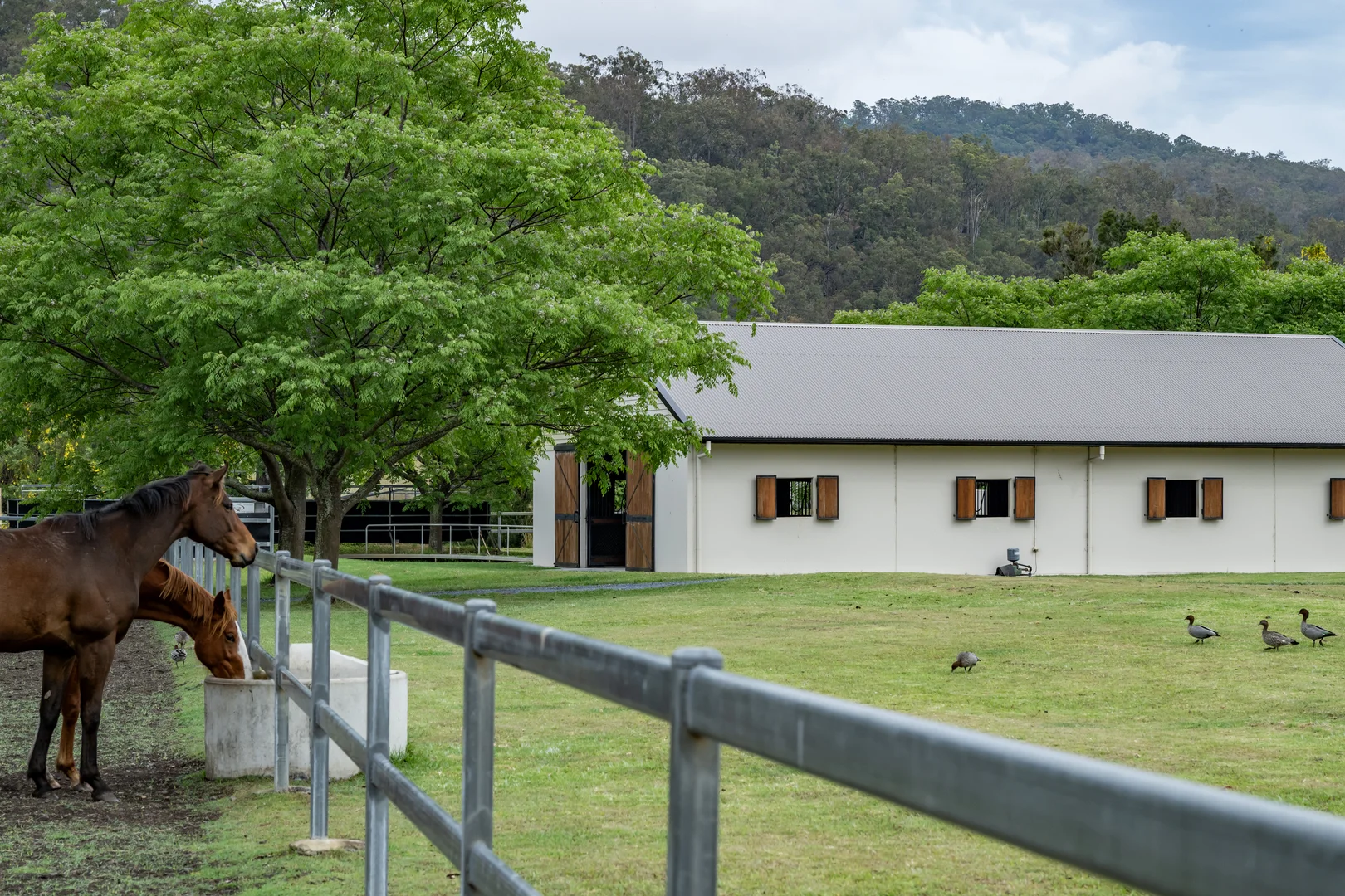 Additional image 24 of 2567 Beaudesert Nerang Road, Benobble QLD 4275