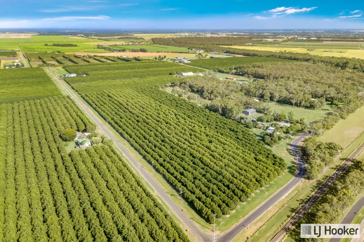 Additional image 42 of 214 Thomasens Road, Alloway QLD 4670