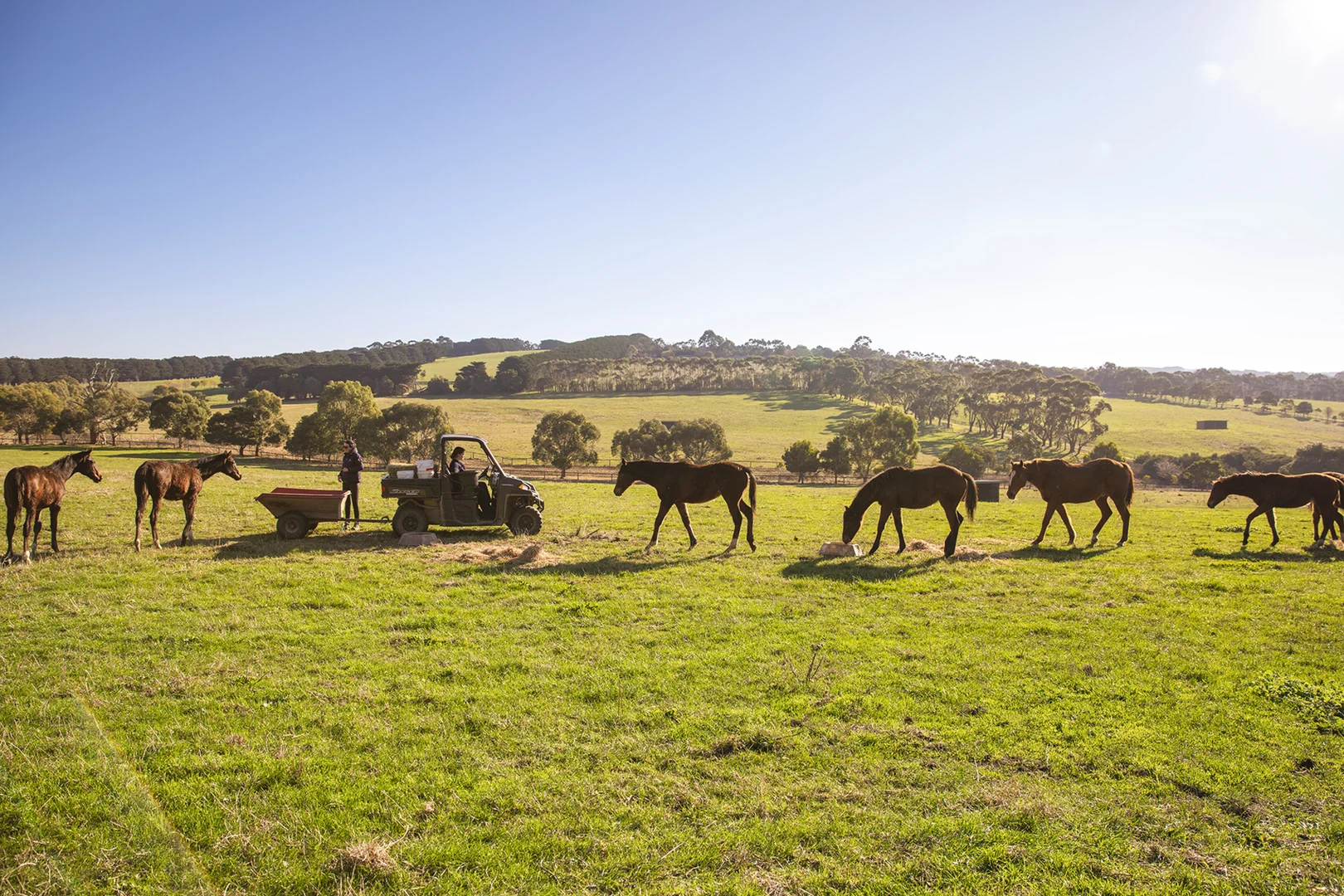 Additional image 7 of 4470 Frankston-Flinders Road, Flinders VIC 3929