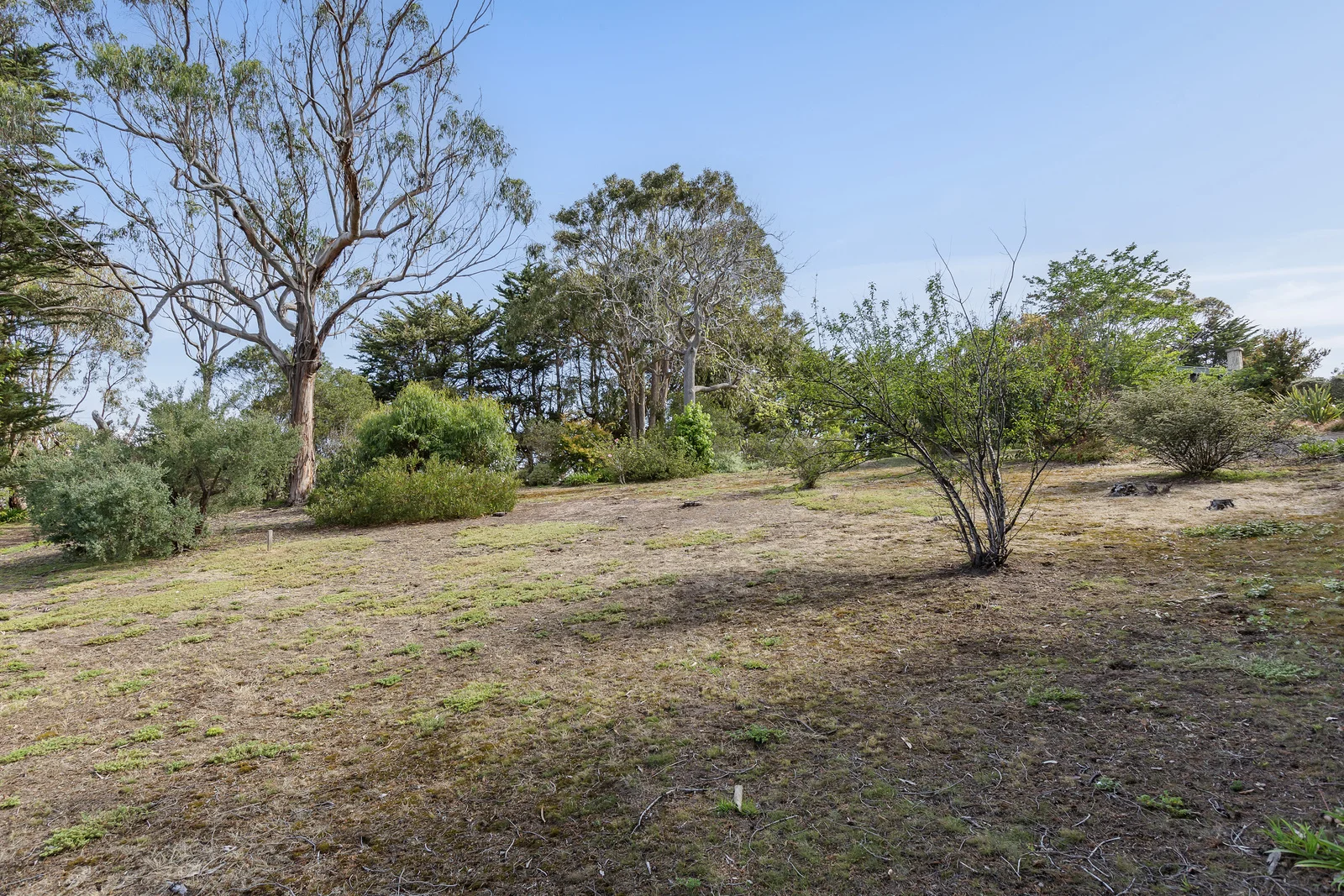 Additional image 11 of 52 PARKER STREET, Anglesea VIC 3230