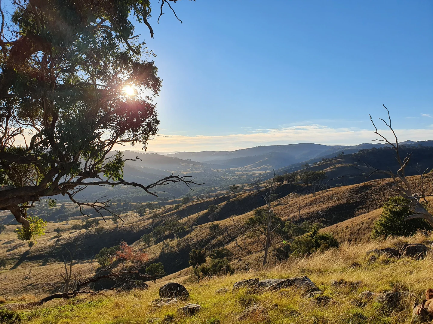 Additional image 8 of 210 Burns Road, Ullamalla, Mudgee NSW 2850