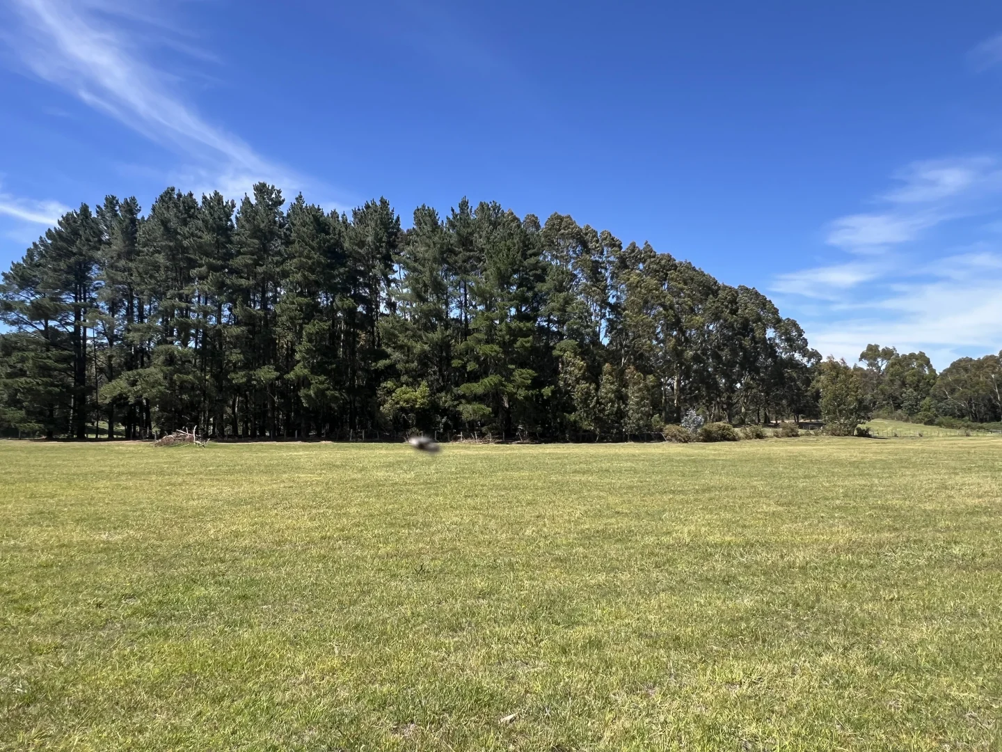 Additional image 17 of Boundary Road, Woodend VIC 3442