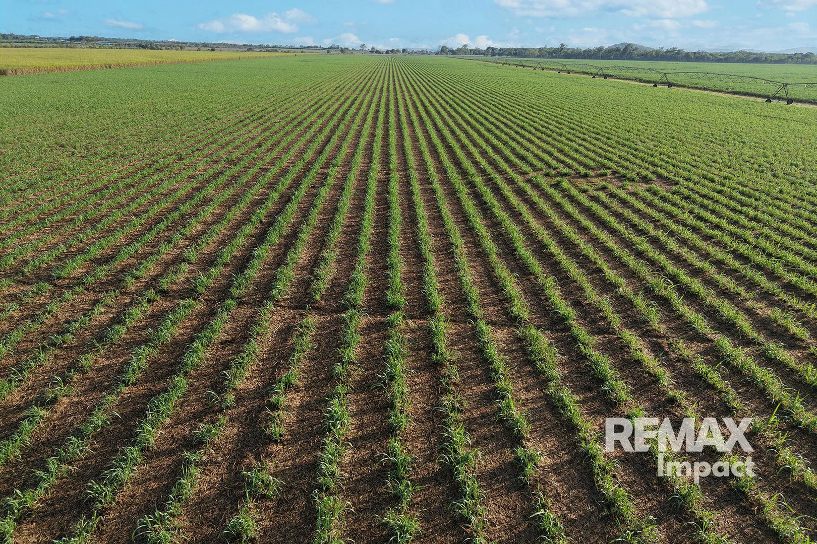 Additional image 6 of 87 Chettle Road, Arriga QLD 4880