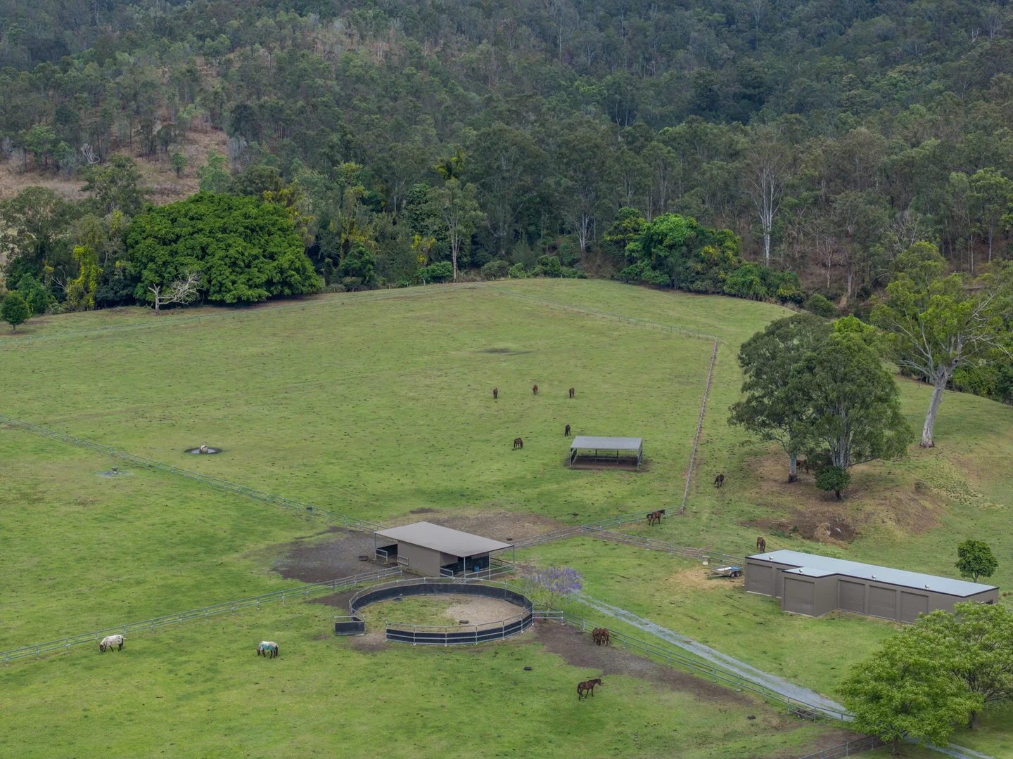 Additional image 27 of 2567 Beaudesert Nerang Road, Benobble QLD 4275