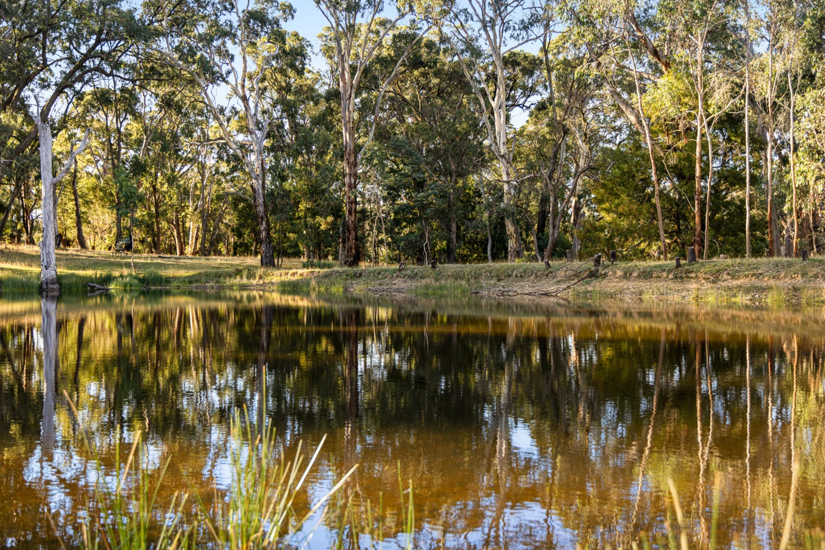 Additional image 21 of 303 Sawmill Road, Springmount VIC 3364