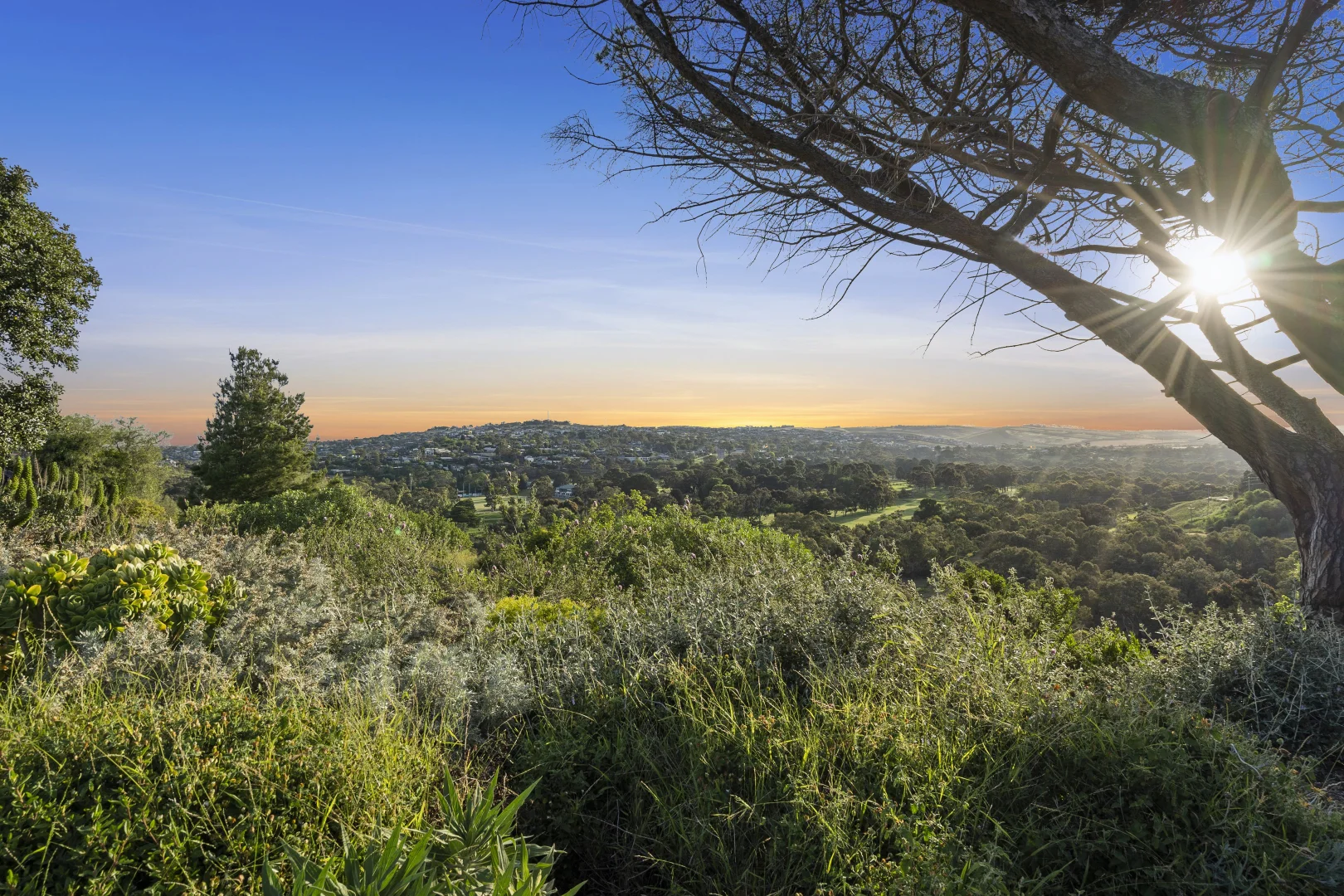 Additional image 32 of 2a Raith Terrace, Newtown VIC 3220