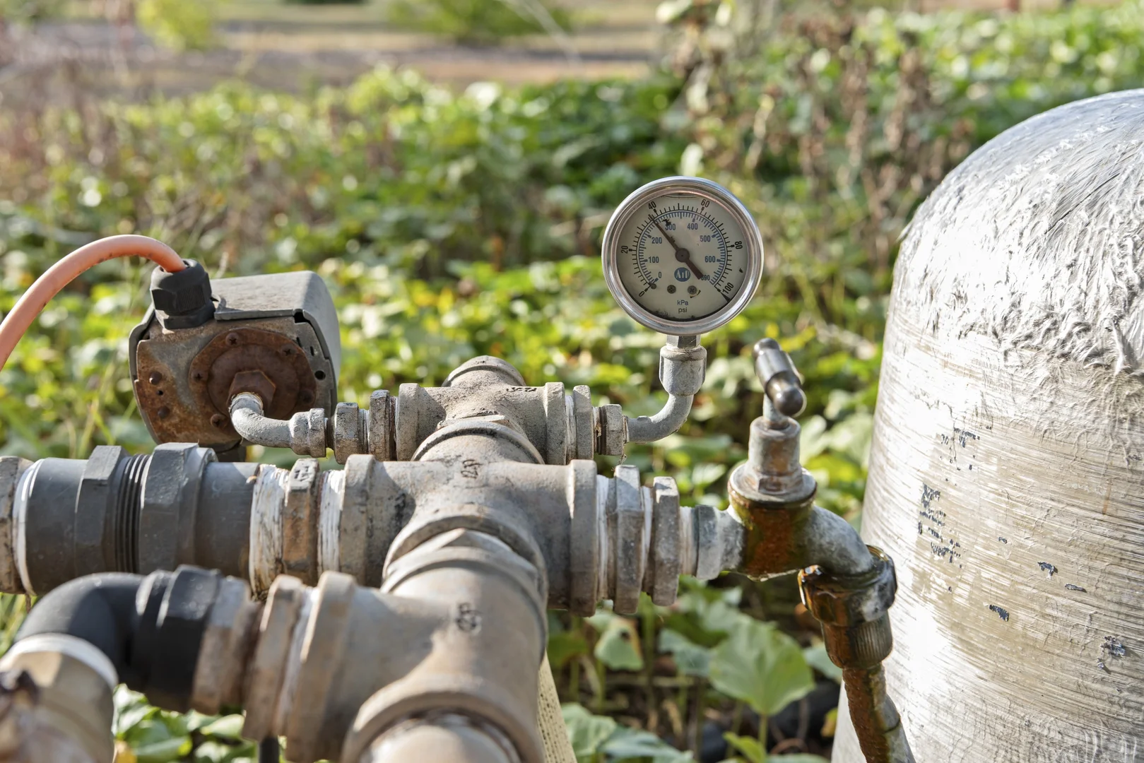 Additional image 19 of 25 Ena Street, Dalby QLD 4405