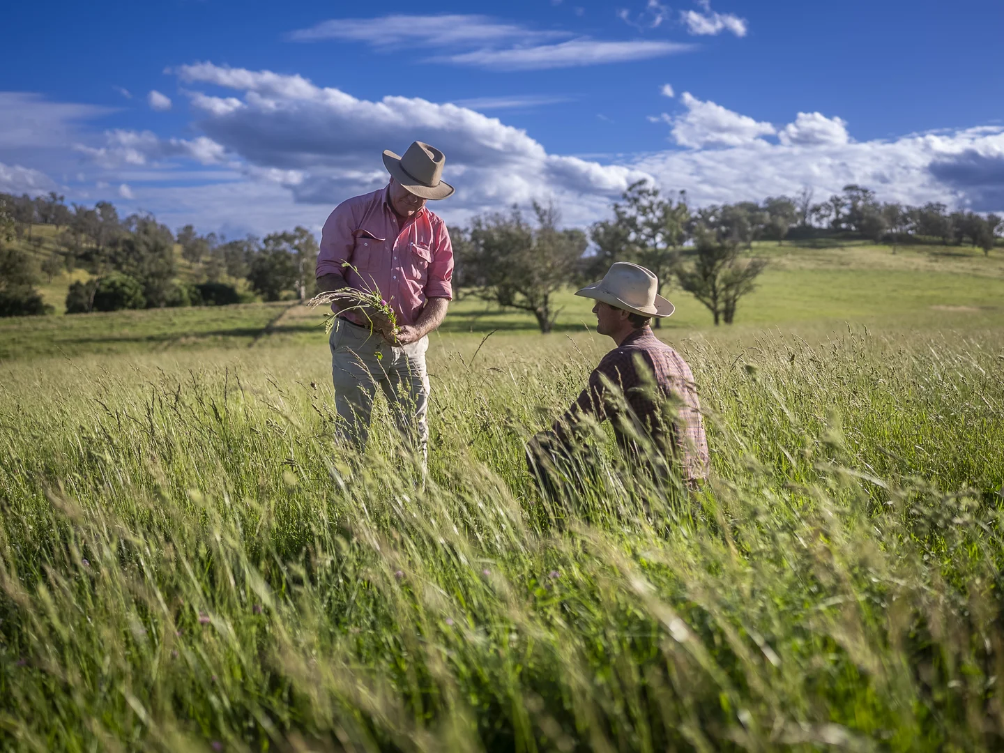 Additional image 24 of 338 Fishington Road, Wongwibinda NSW 2350