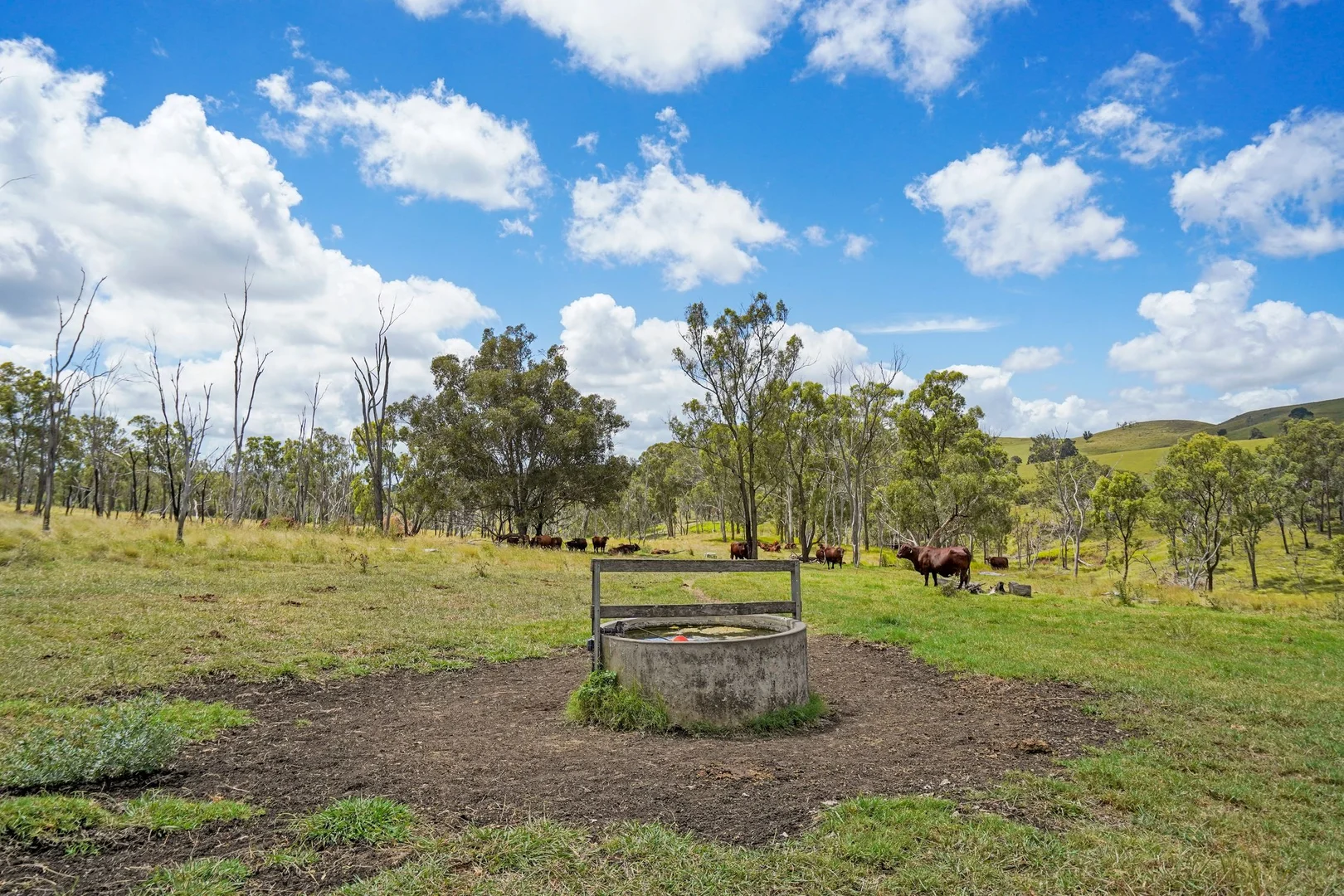 Additional image 17 of "PARADISE" 256 Paradise Road, Mount Sylvia QLD 4343