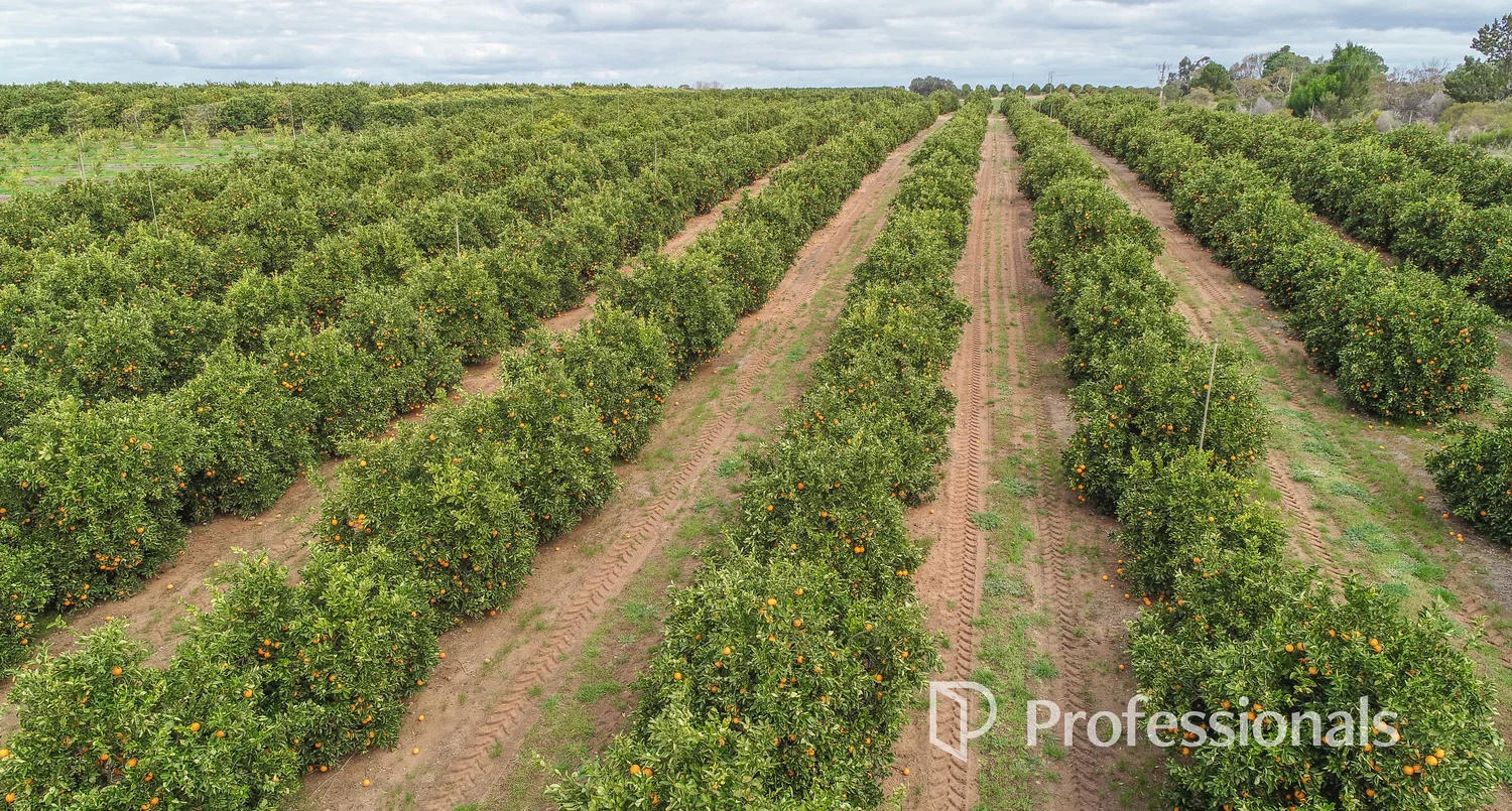 Additional image 31 of 45 Regent Drive, Colignan VIC 3494